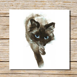 Cat Greeting Card, Balinese Cat Card, Cat Card, Ragdoll Greetings Card, Blank or Personalised Card, Kitten Card, Cats, Birman Cat, Siamese