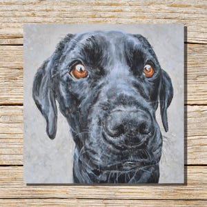 Labrador Puppy Greeting Card, Dog Card, Greetings Card, Blank Inside, Labrador Puppy, Dog Card, Personalised Retriever Card, Black Labradors