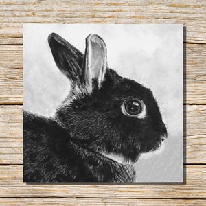 Carte lapin, carte de voeux lapin, carte à personnaliser, carte lapin noir, carte de voeux, carte lapin, carte animal, lapin noir, lapins, cartes
