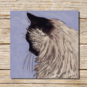Carte chat, carte de voeux ragdoll, chaton, chat balinais, carte de voeux, intérieur vierge, chat birman, carte chat, siamois poil long, chatons