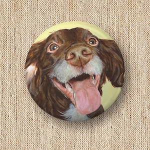 Puede incluir: Un retrato de cerca de un perro marrón y blanco con la lengua fuera. El perro tiene una expresión feliz en su rostro y está mirando directamente a la cámara. El fondo es de color amarillo claro.