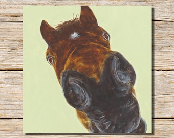 Horse Greeting Card, Horse Card, Greetings Card, Blank Inside, Horse, Pony Card, Horses, Personalised Horse Card, Funny Horse Card, Farm