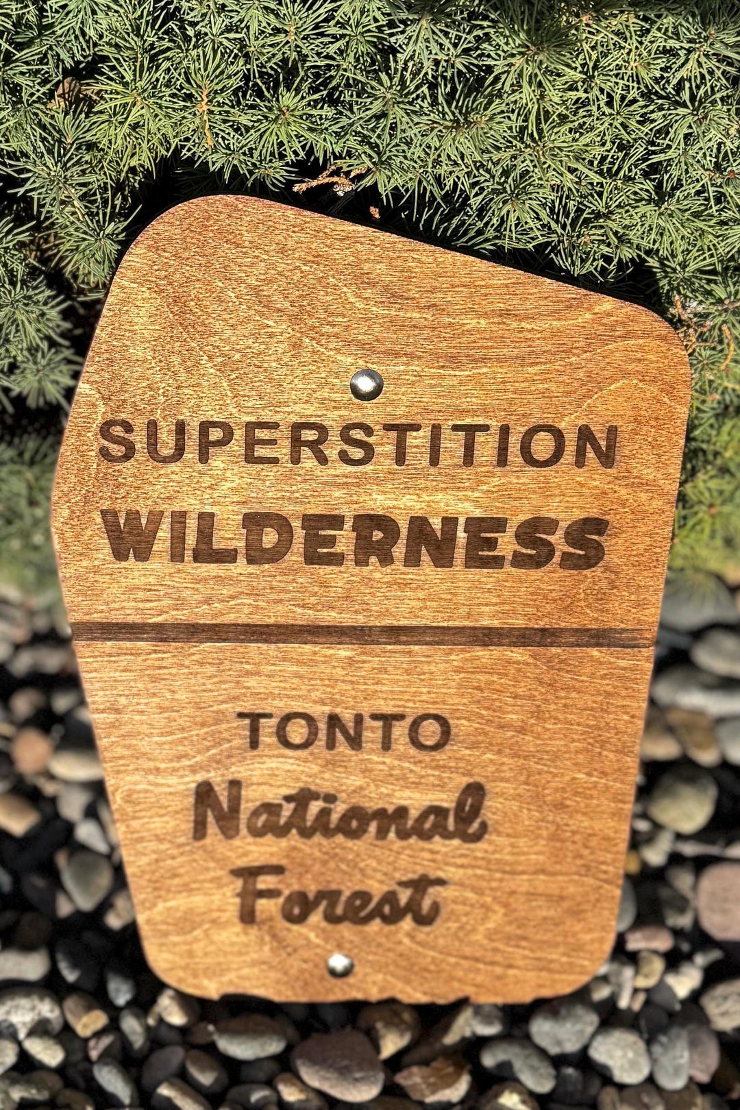 Wilderness Sign Example Wilderness Custom National Forest Trail Sign - Etsy