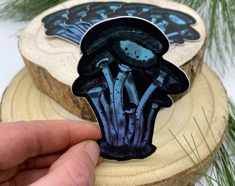 Pegatina troquelada de naturaleza al aire libre con diseño de hongos micológicos de 2,2" x 3" y degradado