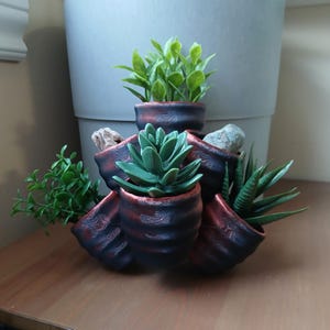 May include: A set of five small terracotta pots with a textured finish, arranged in a circular pattern. Each pot contains a different type of succulent plant.
