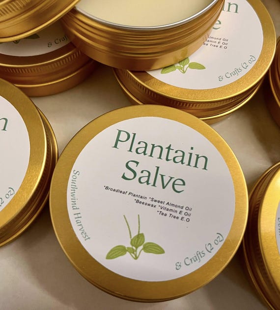 Plantain Salve for Bug Bites- All Natural