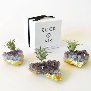 Unique Desk or Cubicle Plant Decor / Set of 3 Gold Dipped Amethyst Crystal Air Plant Holder - Meaningful Gift for Sister, Mom or Girlfriend