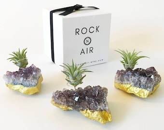 Gold Dipped Miniature Amethyst Air Plant Holder Set: Desk Decor Gift