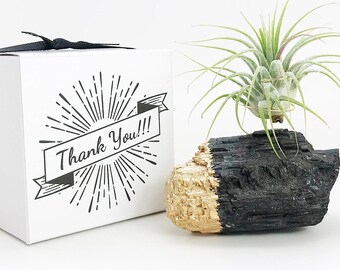 Thank you gift for Co-Worker or Boss / Black Tourmaline Crystal Air Plant Holder/Stand - Gratitude Present for Friend, Unique Gift for Her