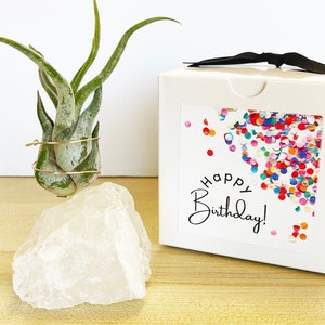Clear Quartz Crystal Air Plant Holder Gift Box - Handmade Planter