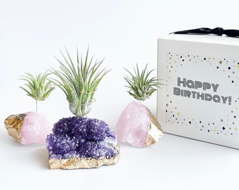 Amethyst & Rose Quartz Crystal Happy Birthday Gift Set, Unique Air Plant Holder - Friendship, Mom, Coworker Gift, Air Plant Terrarium