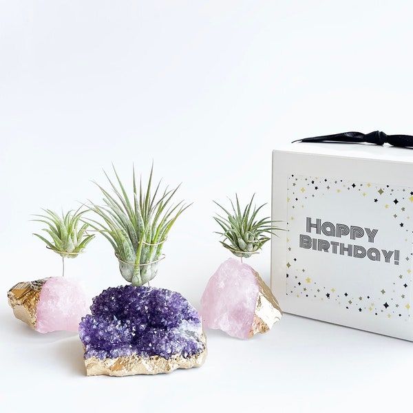 Conjunto de regalos de feliz cumpleaños de cristal de amatista y cuarzo rosa, soporte único para plantas de aire - amistad, mamá, regalo de compañero de trabajo, terrario de plantas de aire
