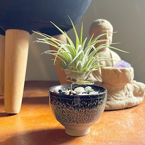 Speckled Ceramic Air Plant Holder Gift Set: Zen Home Decor