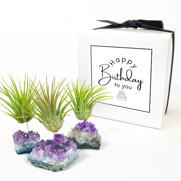 Meaningful May Birthday Gift for Plant and Crystal Lovers, Amethyst Geode Air Plant Holder, Includes Plant, Unique Gifts for Women