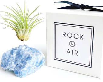 Crystal Lover Gift for friends or co worker - Blue Calcite Crystal Air Plant Holder/Includes Plant and Gift Box - Unique & Meaningful Gift
