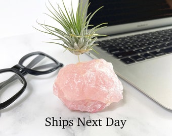 Soporte para plantas de aire de cristal de cuarzo rosa: Decoración de escritorio para macetas de oficina