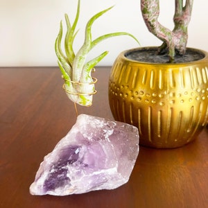 May include: A small air plant in a gold wire stand, sitting on a large amethyst crystal. The air plant is in a gold pot with a textured pattern.