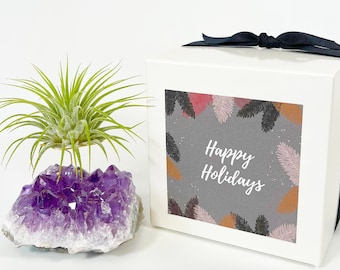 Unique Holiday Gifts for Women - Amethyst Crystal Air Plant Holder - Includes Live Plant and Gift Box - Thoughtful Gifts for Her