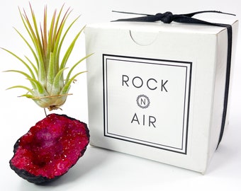Small Red Geode Air Plant Holder - Includes Healthy Plant and Gift Box - Beautiful Plant and Crystal Gift for Someone who has Everything