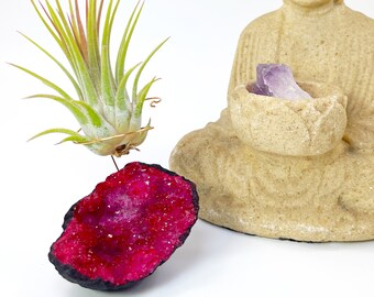 Small Red Geode Air Plant Holder - Includes Healthy Plant and Customized Gift Box - Zen Decor Gifts for Meditation or Yoga Room