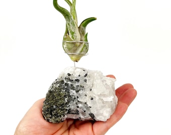 Soporte para plantas de aire de cristal de cuarzo turmalina blanco y negro, regalo único para plantas.