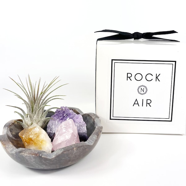 4" Scallop Detail Marble Bowl Air Plant Display with Crystals, Includes Air Plant, Amethyst, Citrine, Rose Quartz, Self Care Gift