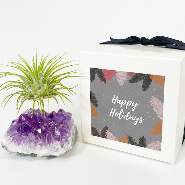 Unique Holiday Gifts for Women - Amethyst Crystal Air Plant Holder - Includes Live Plant and Gift Box - Thoughtful Gifts for Her