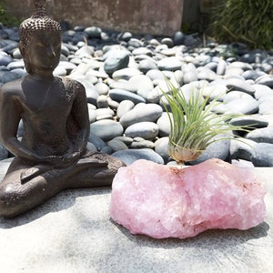 Rose Quartz Crystal, Air Plant, One of a Kind, Gifts for Mom, Boho Decor, Housewarming Gift, Birthday Gift, Air Plant Holder, Gifts for Her