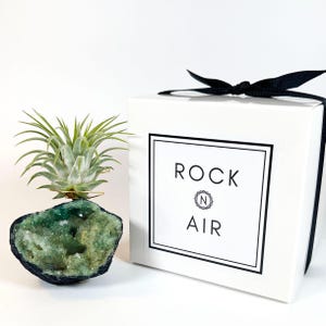 Puede incluir: Una planta de aire decorativa exhibida sobre una geoda con interior de cristal verde y exterior azul oscuro. Una caja de regalo blanca con una cinta negra y el texto "ROCK AIR" está al lado de la planta.
