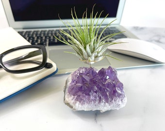 Cute Desk Decor — Amethyst Air Plant Holder — Woman Gift — Crystal Office Decor Accessory — For crystal lovers