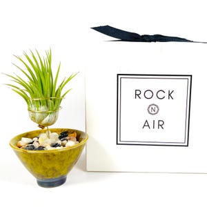 Gelb gesprenkelte Sake Cup Air Pflanzenhalter Geschenkbox: Japanisch inspirierter Mini-Übertopf