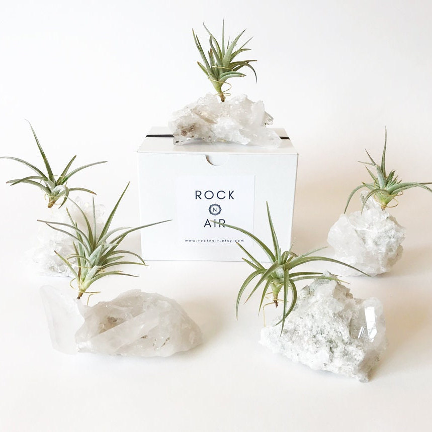 Clear Quartz Crystal Air Plant Holder: Minimalist Desk Decor