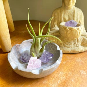 Bol decorativo de piedra natural tallada con forma de loto - Incluye planta de aire, amatista y cristal de cuarzo rosa