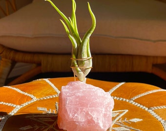 Rose Quartz Crystal Air Plant Holder Unique Birthday Gift - Comes with Healthy Air Plant and Customized Gift Box