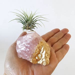 Rose Quartz Gold Dipped Air Plant Holder/Stand Includes Live Plant Meaningful and Unique Crystal Gift for Home or Office Decor image 6