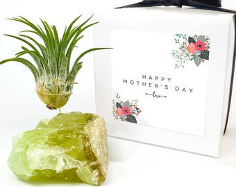 Unique Mother's Day, Step Mom, Friend Mom, Grandma Gift / Green Calcite Crystal Air Plant Holder - Comes with Live Plant and Gift Box