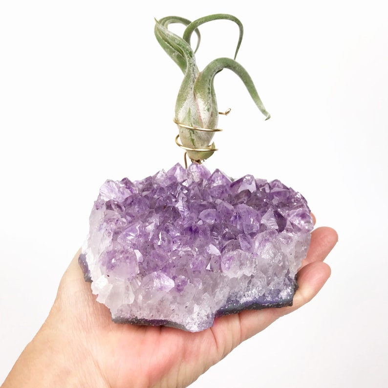 Thoughtful Birthday Gift for Her, Large Amethyst Air Plant Holder, Gift for Women, Unique gift for best friend, mom, sister, girlfriend image 1