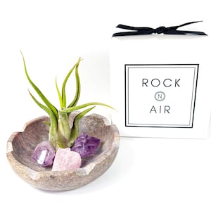 May include: A brown stone bowl containing a green air plant and three small crystals, including two purple amethyst pieces and one pink rose quartz piece. Next to the bowl is a white square gift box with a black ribbon and the text ROCK N AIR.
