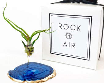 Blue Agate Slice Crystal Air Plant Holder Gift - Comes with Healthy Air Plant and Rock n Air Gift Box - Crystal and Plant Lover Gift