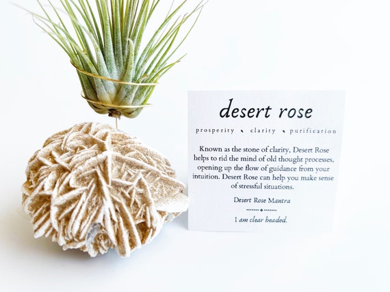 Desert Rose Selenite Air Plant Planter: Crystal and Plant Gift with Meaning