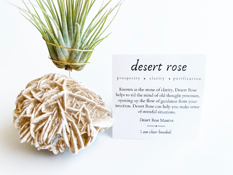 Peut inclure: Un cristal de rose du d&eacute;sert beige avec une petite plante a&eacute;rienne dans un porte-plante en fil de fer dor&eacute;. La carte &agrave; c&ocirc;t&eacute; du cristal indique "rose du d&eacute;sert" et liste les propri&eacute;t&eacute;s du cristal comme "prosp&eacute;rit&eacute;, clart&eacute;, purification". La carte comprend &eacute;galement un mantra : "Je suis clair perl&eacute;."