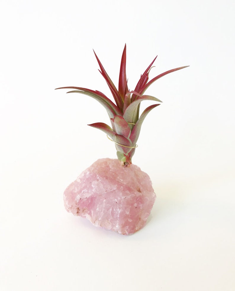 Rose Quartz Crystal Best Selling Items Hippie Decor Boho Etsy