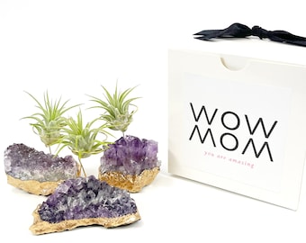Thoughtful Gift for Mom - Set of 3 Small Gold Dipped Amethyst Crystal Air Plant Gift - Includes Plant -Gift Box - Unique Step Mom Gift