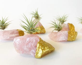 Soporte para plantas de aire de cuarzo rosa bañado en oro: regalo de piedra natal de enero