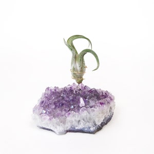 Thoughtful Birthday Gift for Her, Large Amethyst Air Plant Holder, Gift for Women, Unique gift for best friend, mom, sister, girlfriend image 4
