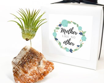 Special Mother's Day Gift for Best Friend, Step Mom Gift / Red Calcite Crystal Air Plant Holder - Includes Healthy Plant and Gift Box