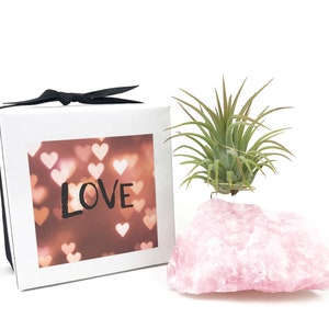 Puede incluir: Una caja de regalo blanca con una cinta negra y la palabra "LOVE" impresa en la parte delantera. La caja est&aacute; junto a un cristal de cuarzo rosa con una peque&ntilde;a planta de aire verde creciendo en la parte superior.