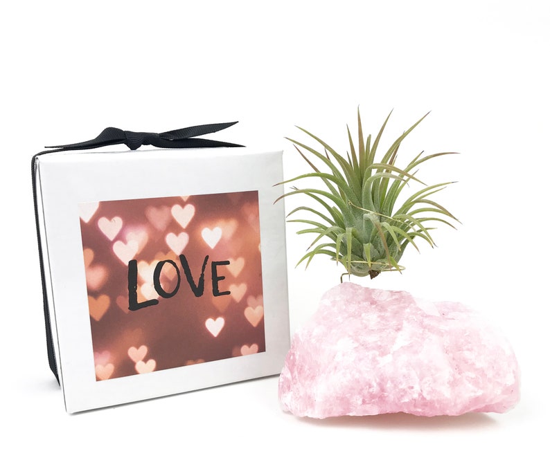 Puede incluir: Una caja de regalo blanca con una cinta negra y la palabra "LOVE" impresa en la parte delantera. La caja est&aacute; junto a un cristal de cuarzo rosa con una peque&ntilde;a planta de aire verde creciendo en la parte superior.