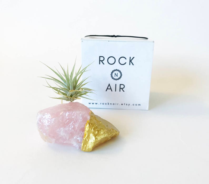 Rose Quartz Gold Dipped Air Plant Holder/Stand Includes Live Plant Meaningful and Unique Crystal Gift for Home or Office Decor image 3