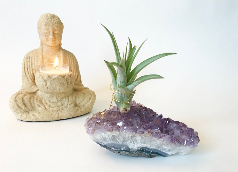 Large Amethyst Crystal Air Plant Holder Zen Garden Decor Etsy
